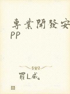 专业开发安卓app