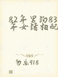 82年男狗83年女猪相配吗婚姻