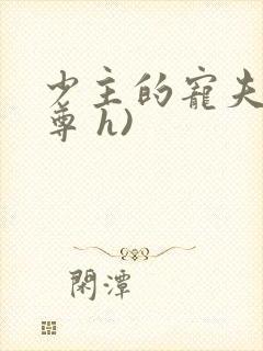 少主的宠夫(女尊 h)