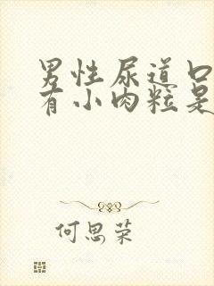 男性尿道口里面有小肉粒是咋回事封面