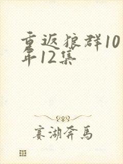 重返狼群10周年12集