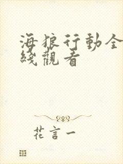 海狼行动全集在线观看封面