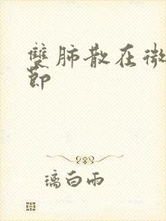 双肺散在微小结节