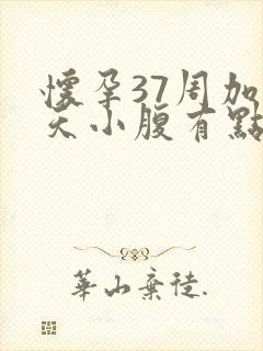 怀孕37周加5天小腹有点隐隐作痛封面