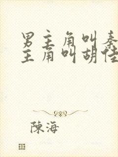 男主角叫秦峰女主角叫胡佳云的小说