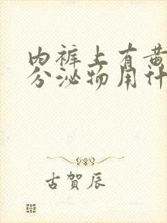 内裤上有黄绿色分泌物用什么药