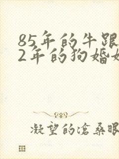 85年的牛跟82年的狗婚姻相配吗