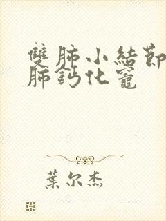 双肺小结节,右肺钙化灶