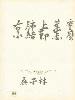 右肺上叶实性微小结节怎么办呢封面