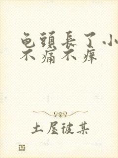 龟头长了小肉粒不痛不痒