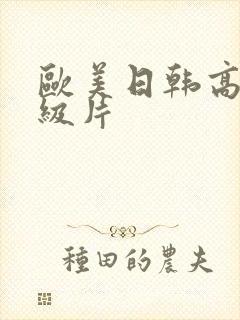 欧美日韩高清一级片