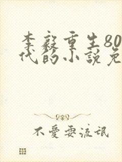 李毅重生80年代的小说免费阅读