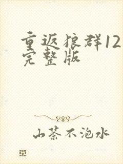 重返狼群12集完整版