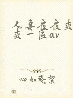 人妻夜夜爽天天爽一区av