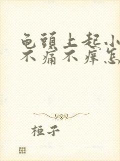 龟头上起小红点不痛不痒怎么回事封面