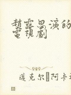 赵露思演的医生电视剧封面