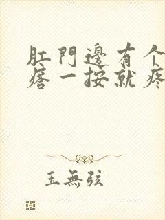 肛门边有个硬疙瘩一按就疼怎么治