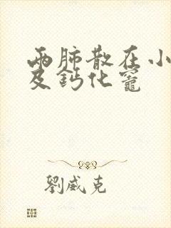 两肺散在小结节及钙化灶