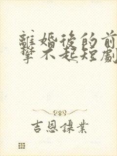 离婚后的前妻高攀不起短剧免费观看