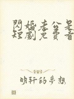 闪婚老公是豪门短剧免费看