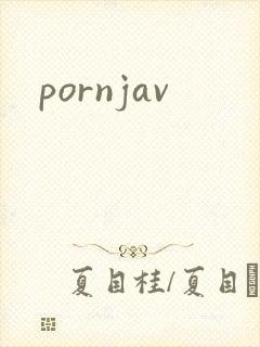 pornjav封面