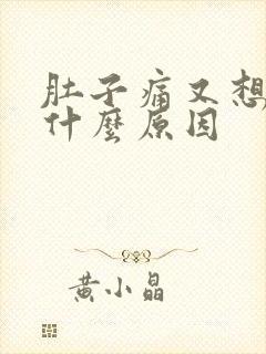 肚子痛又想吐是什么原因