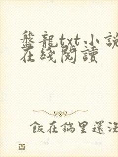 盘龙txt小说在线阅读封面