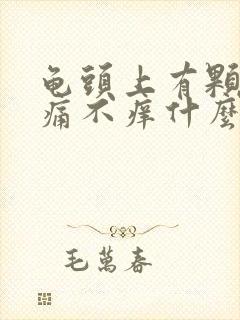 龟头上有颗粒不痛不痒什么原因