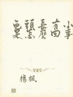 龟头长有小肉粒是怎么回事