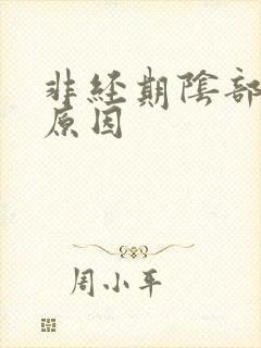 非经期阴部流血原因