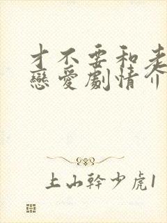 才不要和老板谈恋爱剧情介绍封面