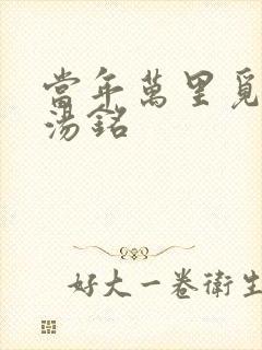 当年万里觅封侯汤铭