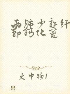 两肺少许纤维结节钙化灶