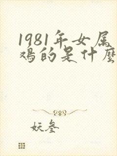 1981年女属鸡的是什么命运