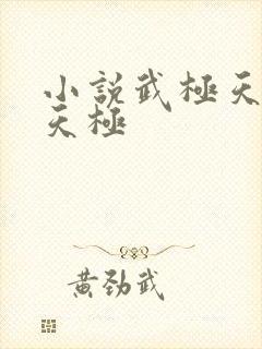 小说武极天尊陈天极