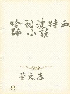 哈利波特血脉巫师 小说