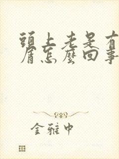 头上老是有头皮屑怎么回事封面