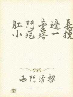 肛门旁边长了个小疙瘩一摸就疼