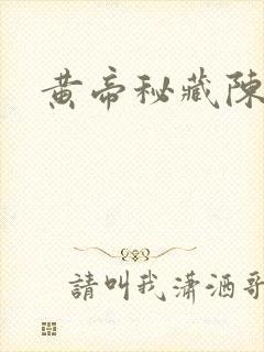 黄帝秘藏陈启封面