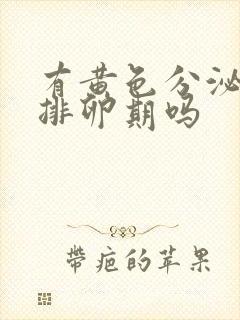 有黄色分泌物是排卵期吗