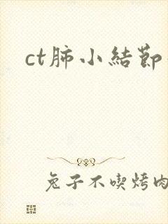 ct肺小结节影封面