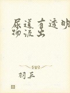 尿道有透明分泌物流出