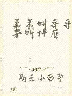 弟弟叫哥哥的儿子叫什么