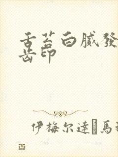 舌苔白腻发黄有齿印