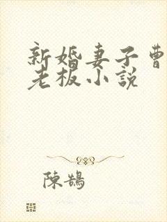 新婚妻子曹仁菜老板小说