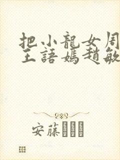 把小龙女周芷若王语嫣赵敏小说封面