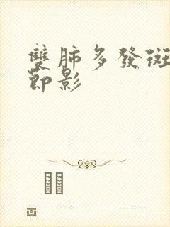 双肺多发斑片结节影封面