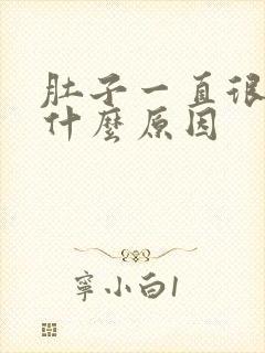 肚子一直很疼是什么原因