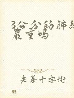 3公分的肺结节严重吗封面