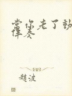 当你老了动态谱伴奏